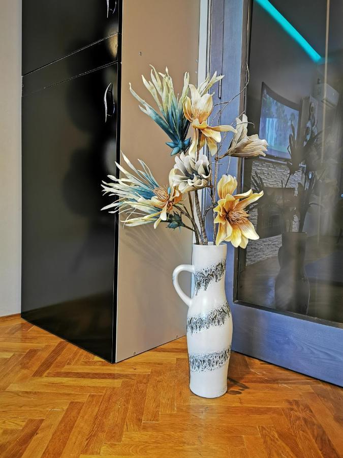 Crystal Central Apartment Брашов Экстерьер фото